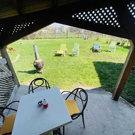 Greenpark Garden Villa Family Apartments Near Tokaj Серенч Экстерьер фото