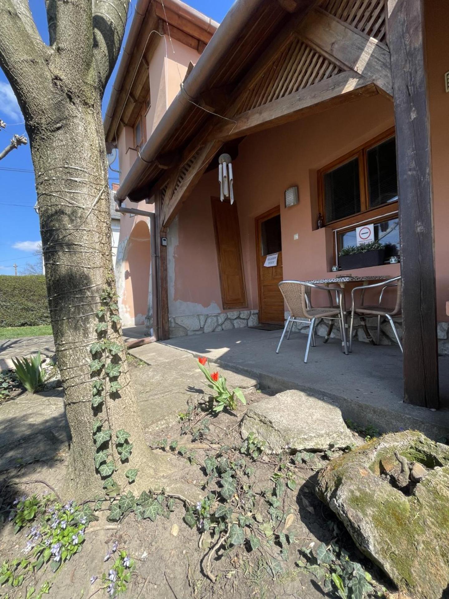 Greenpark Garden Villa Family Apartments Near Tokaj Серенч Экстерьер фото