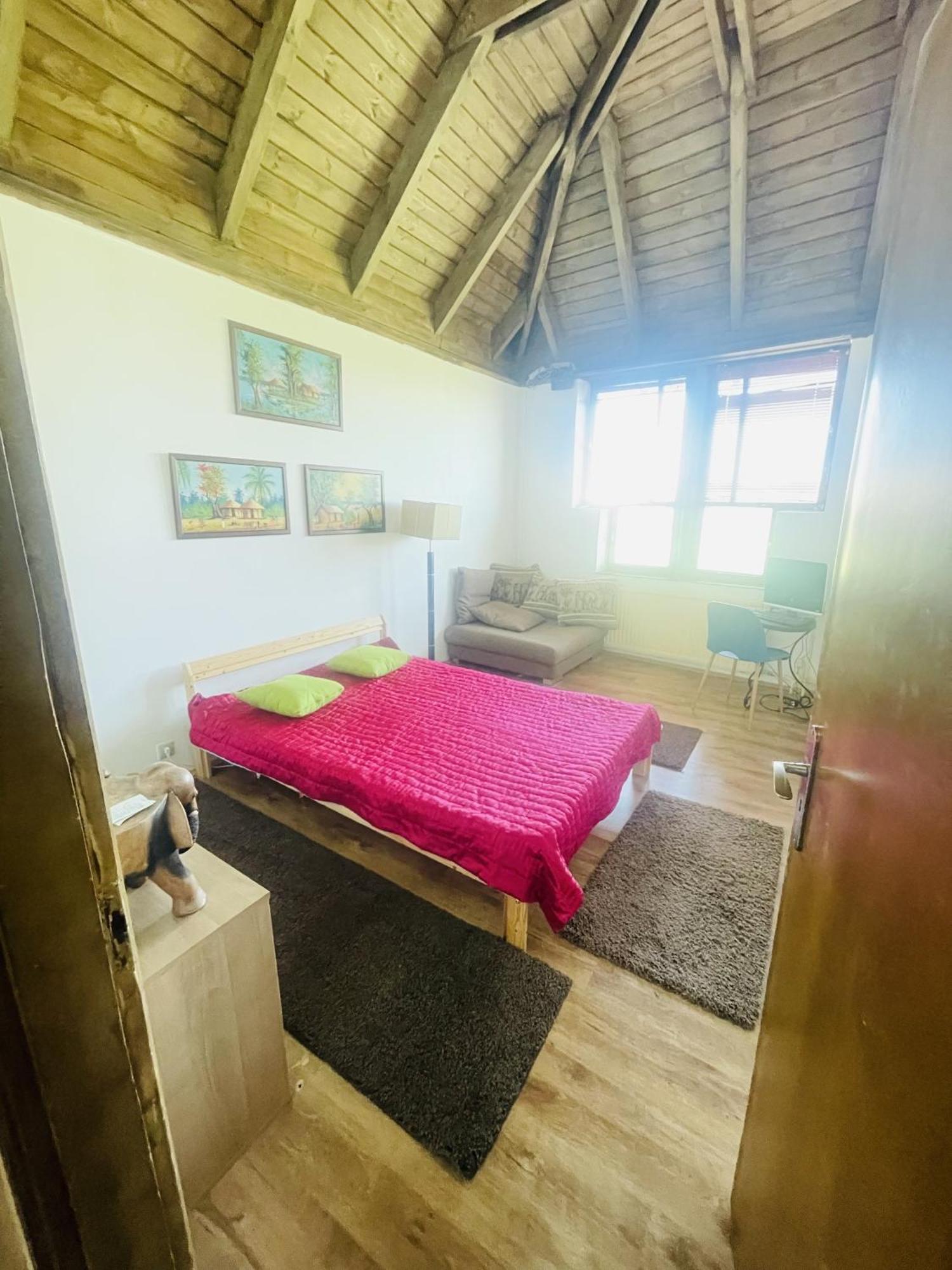 Greenpark Garden Villa Family Apartments Near Tokaj Серенч Экстерьер фото