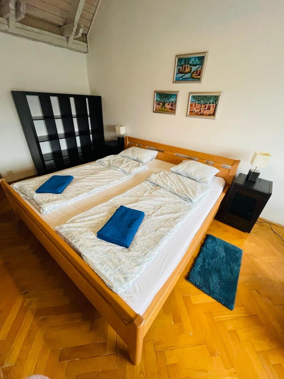 Greenpark Garden Villa Family Apartments Near Tokaj Серенч Экстерьер фото